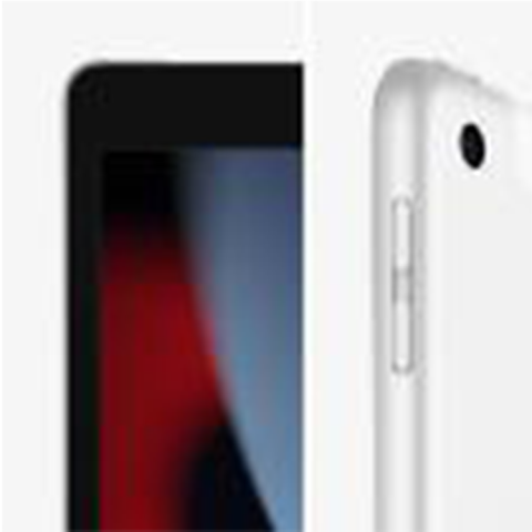 iPad 10,2" (2021) Wi-Fi 256 ГБ, Silver